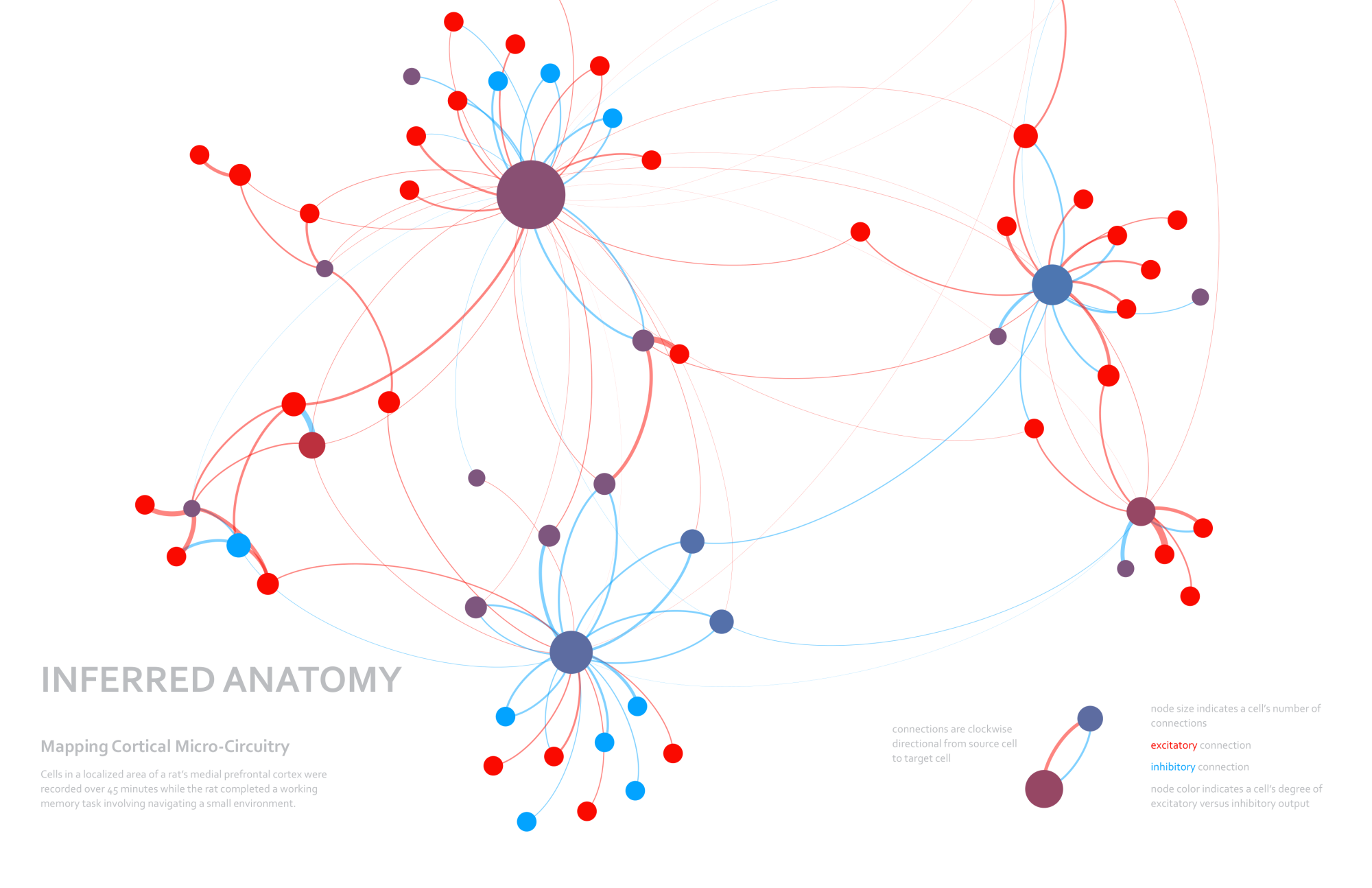 Inferred Anatomy