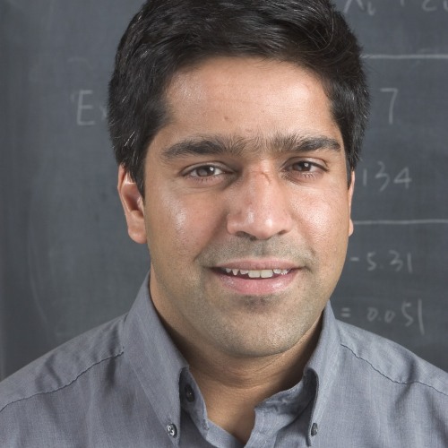 Professor Govind Menon